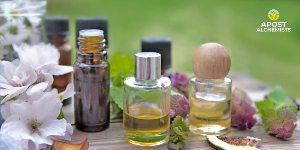 Aromatherapy and the Power of Essential Oils: Understanding the Benefits and Uses