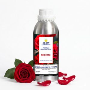 Red Rose